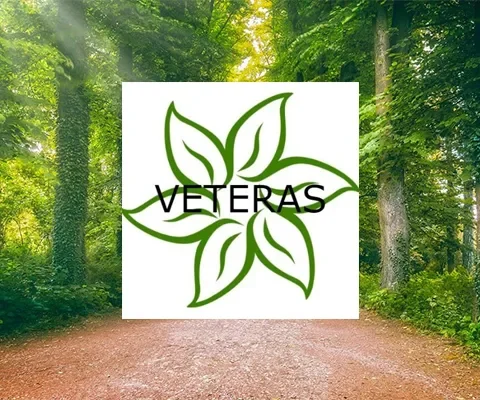 VETERAS（ヴィテラス） の店内イメージ