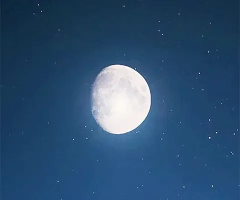 MOON LIGHT（ムーンライト） の店内イメージ